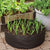 Circular Fabric Growing Bags for Plants, Flowers and Vegetables - minxxshop.com
