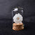 1 Piece Natural Mineral Specimen with Cloche - minxxshop.com