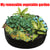 Circular Fabric Growing Bags for Plants, Flowers and Vegetables - minxxshop.com