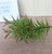 Artificial succulents Lifelike Mini Artificial Plants, French pots - minxxshop.com