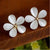 five-leaves-white-daisy-clip-earring