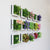 Creative 3D Artificial Plants,Flowers,Floral Wall Decor - minxxshop.com