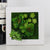 Creative 3D Artificial Plants,Flowers,Floral Wall Decor - minxxshop.com