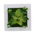 Creative 3D Artificial Plants,Flowers,Floral Wall Decor - minxxshop.com