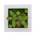 Creative 3D Artificial Plants,Flowers,Floral Wall Decor - minxxshop.com