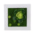 Creative 3D Artificial Plants,Flowers,Floral Wall Decor - minxxshop.com