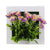 Creative 3D Artificial Plants,Flowers,Floral Wall Decor - minxxshop.com