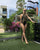One-Piece Mesh Patchwork Swimsuit - minxxshop.com